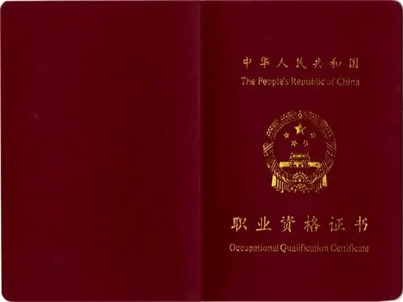 定制证书定制 定制证书定制-红金大气喜庆风
